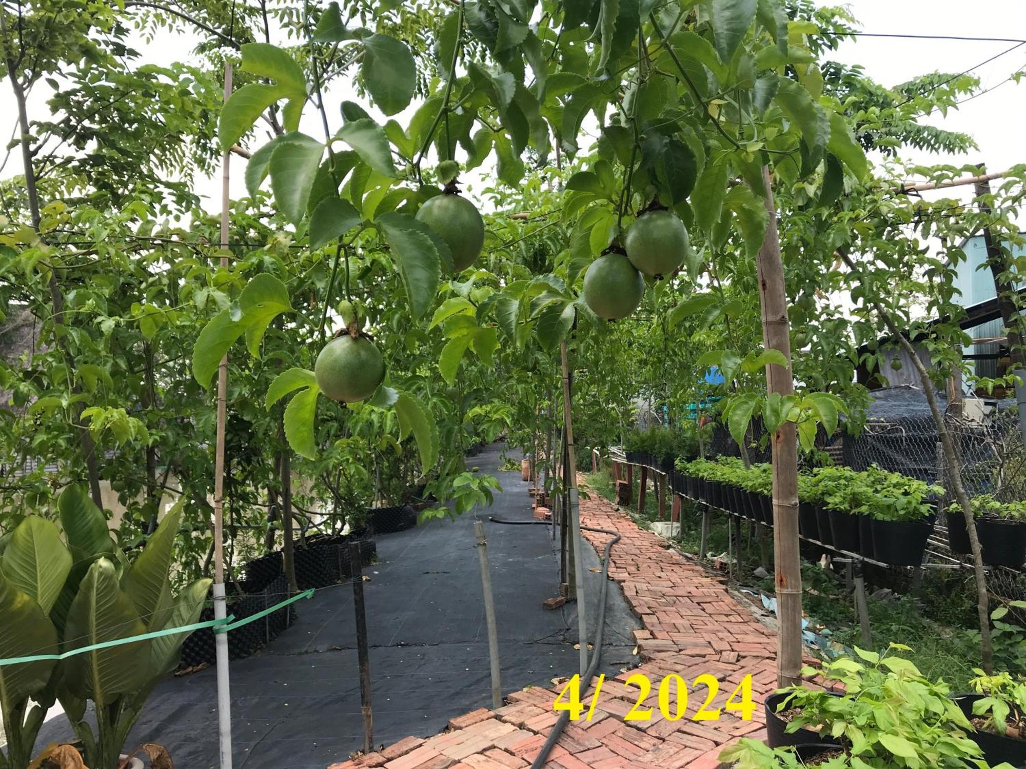 Maison En Bambou Phong-Le Vent Sa Dec Exterior foto